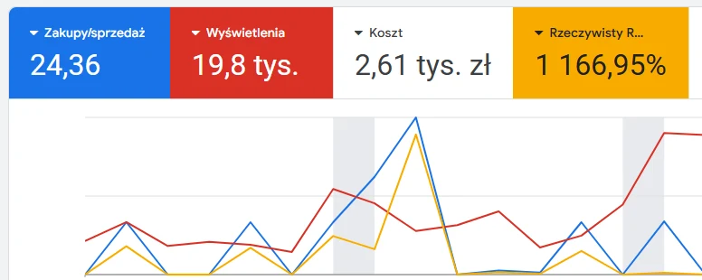 Zrzut ekranu z Google Ads: ROAS 1166% w kampanii Search