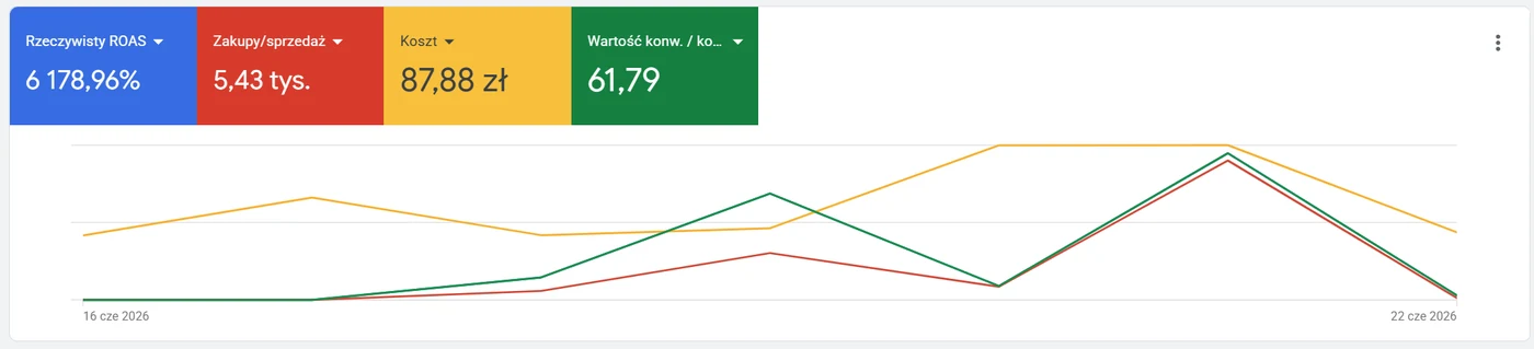 Zrzut ekranu z Google Ads: kampania brandowa z ROAS 6178,96%