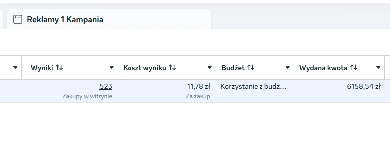 Zrzut ekranu z Menedżera Reklam: 523 zakupy przy koszcie 11,78 zł